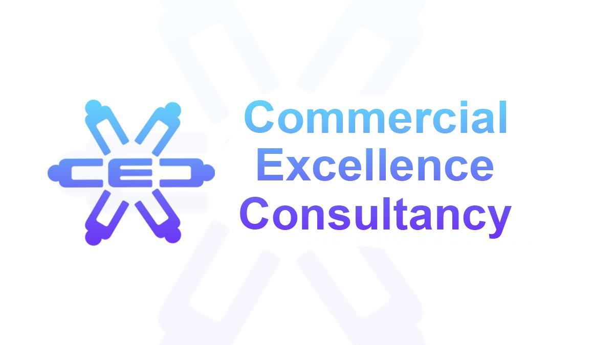Commercial Excellence Consultancy